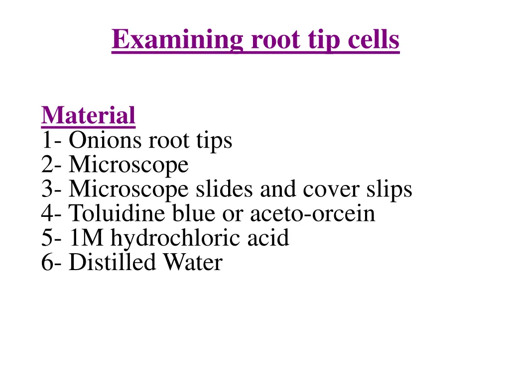 examining root tip cells