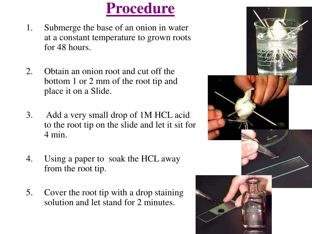 procedure