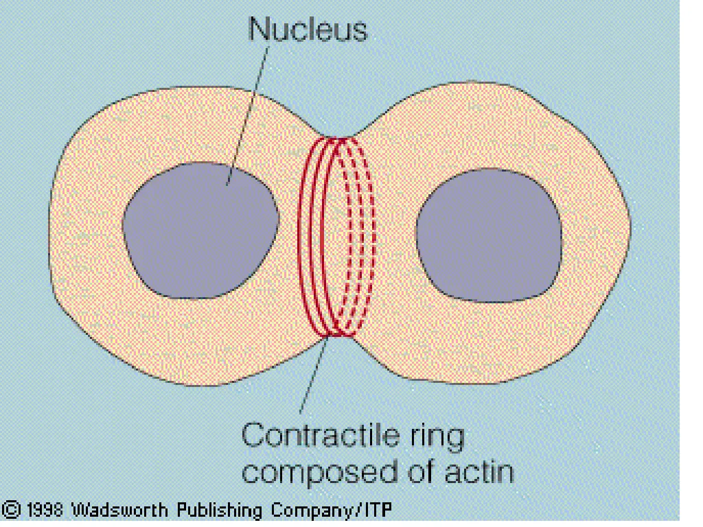 slide12