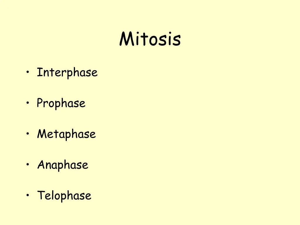 mitosis