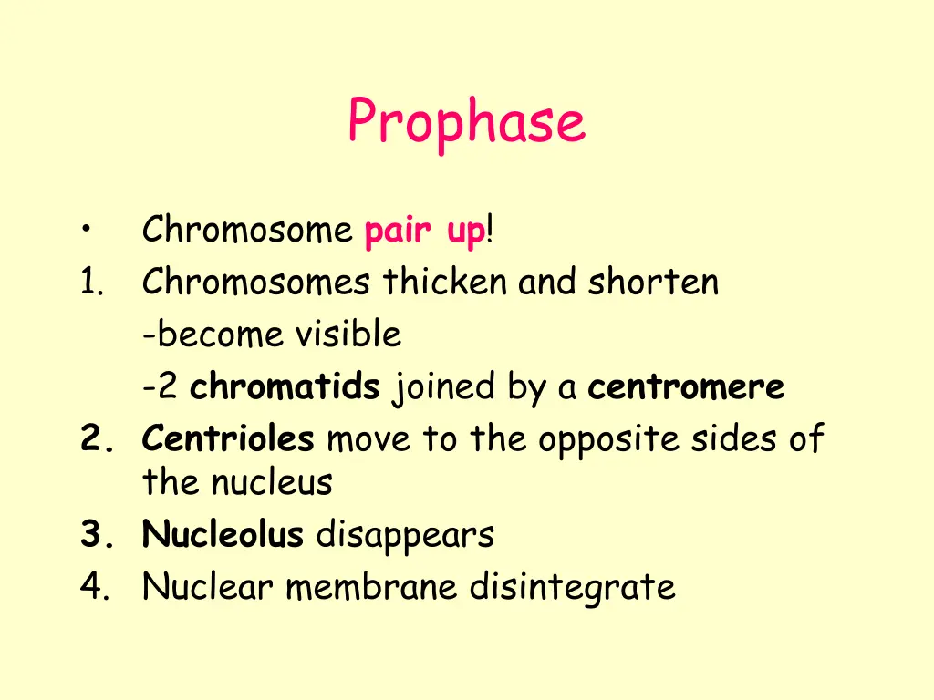 prophase