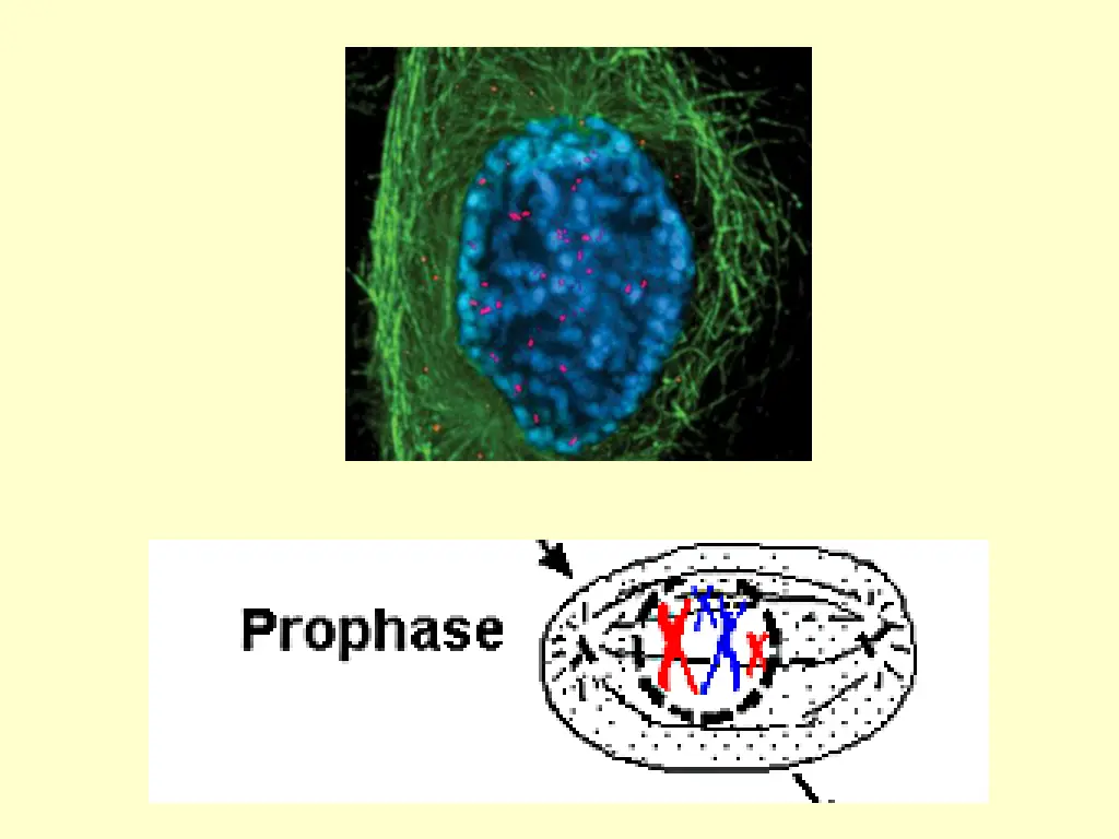 slide6