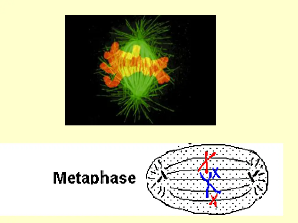 slide8