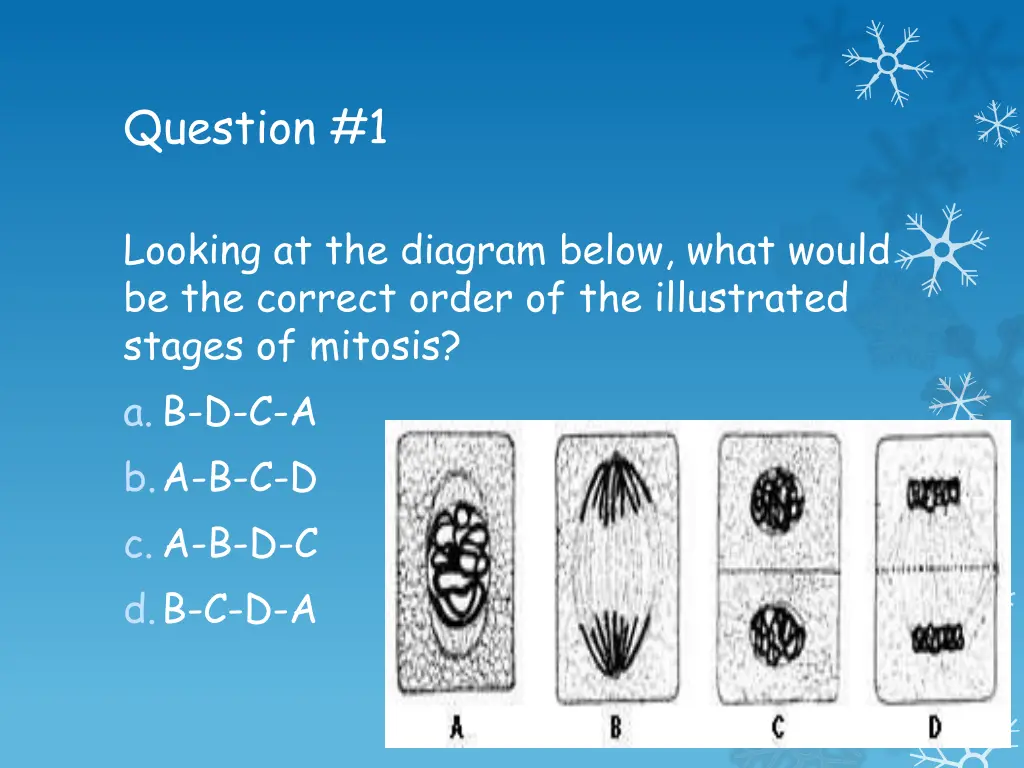 question 1