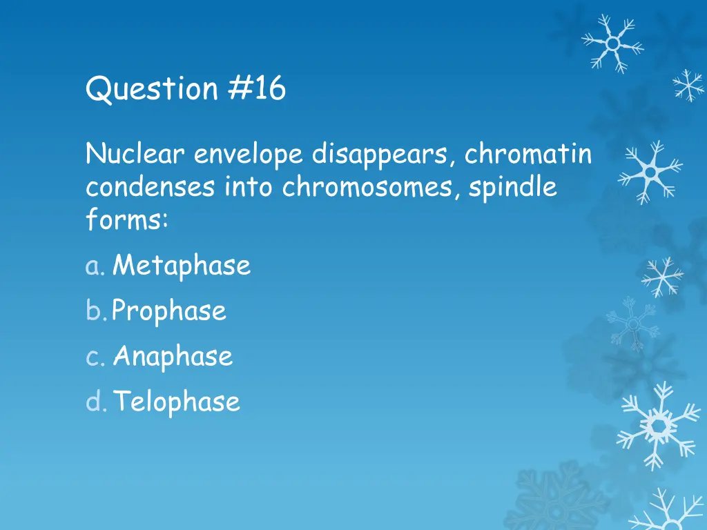 question 16