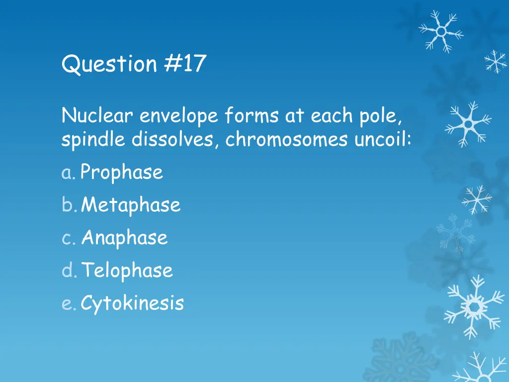 question 17
