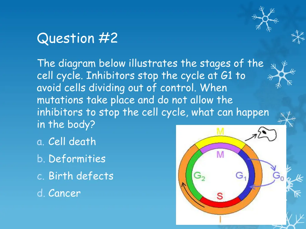 question 2