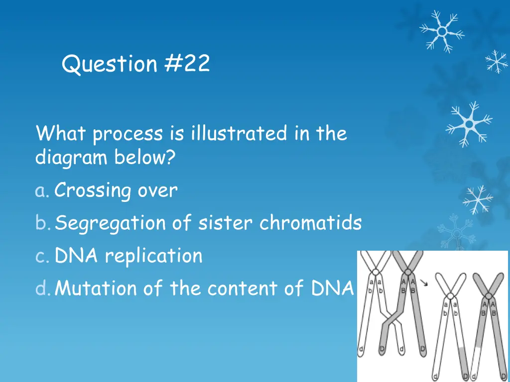 question 22