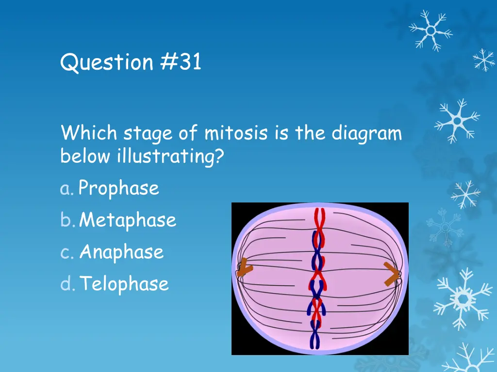 question 31