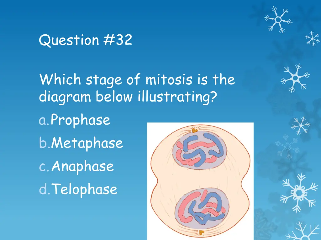 question 32
