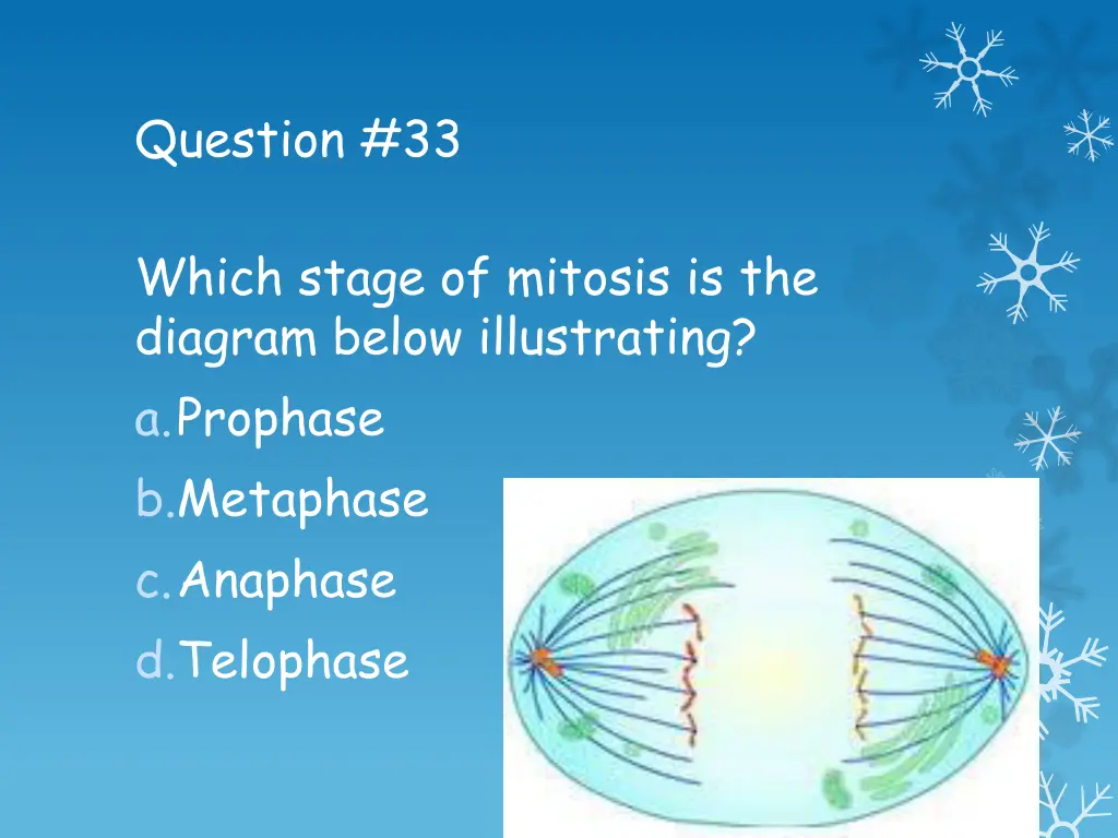 question 33