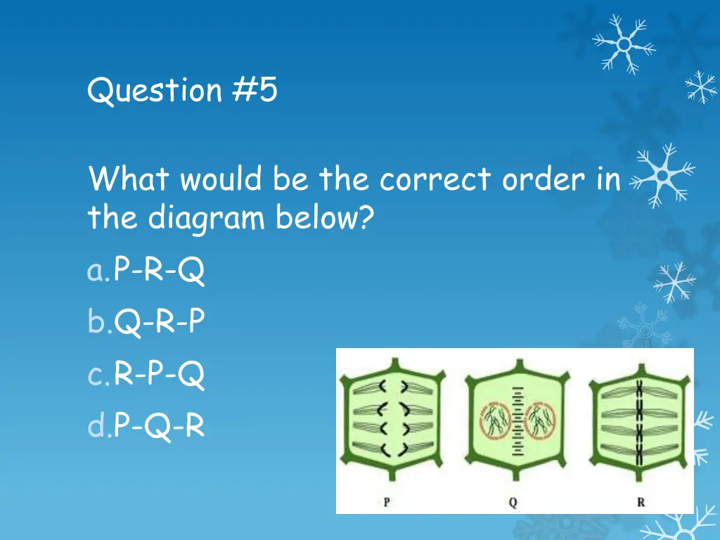 question 5