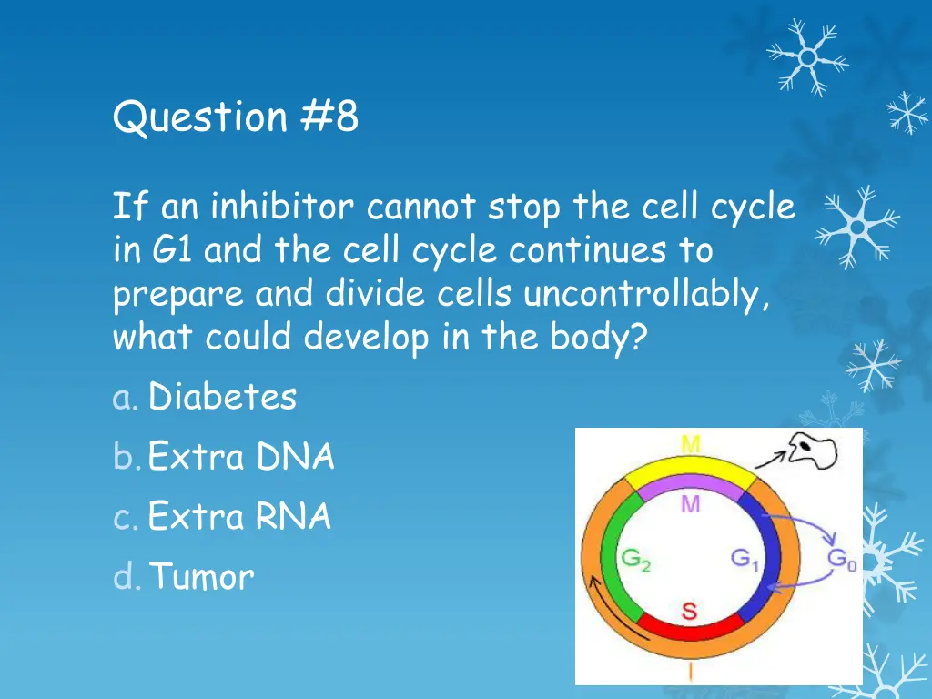 question 8