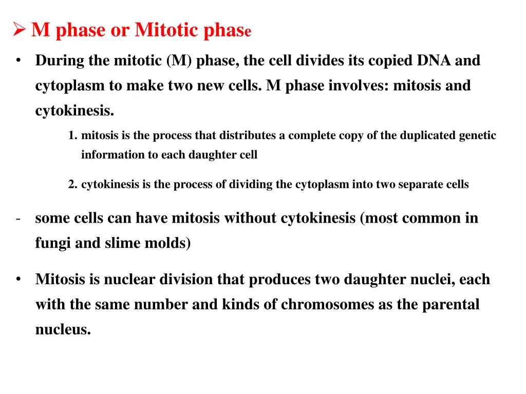 m phase or mitotic phas e