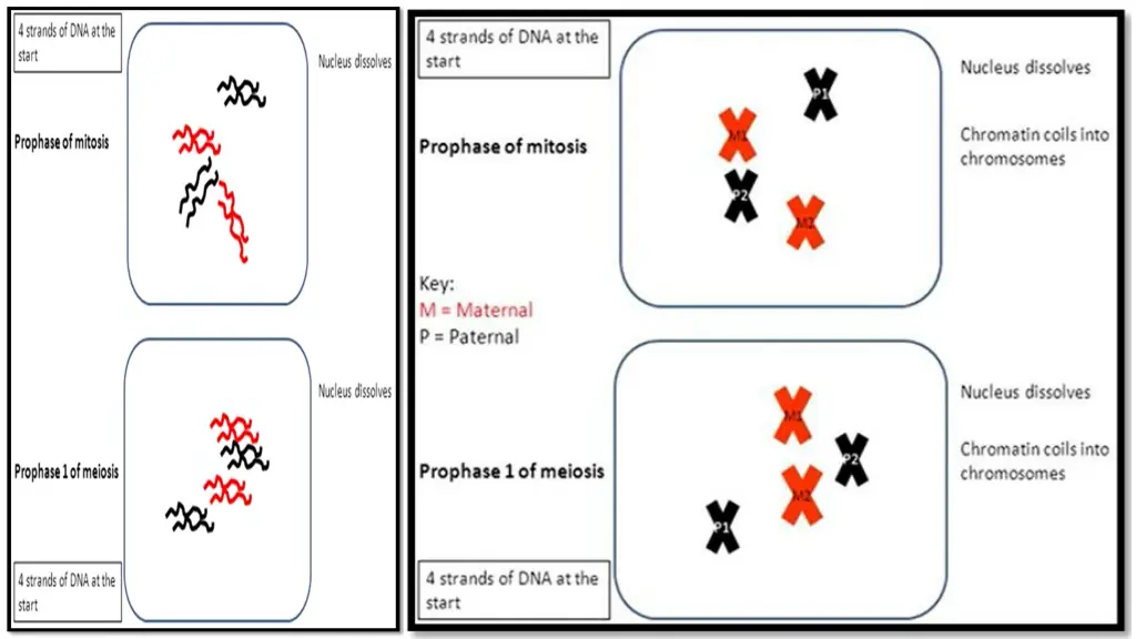 slide3