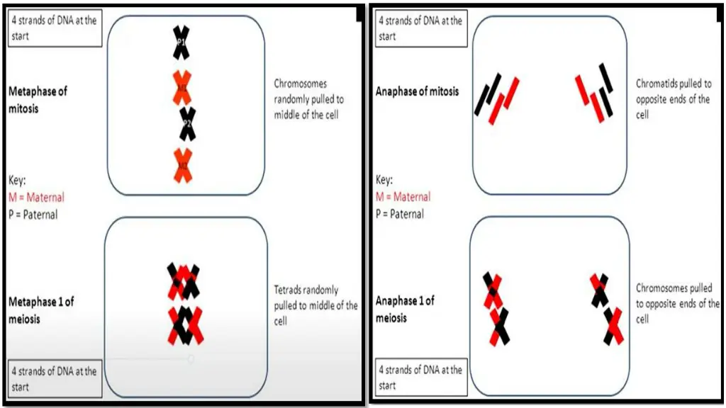 slide5