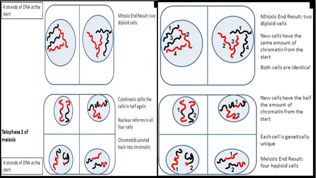 slide8
