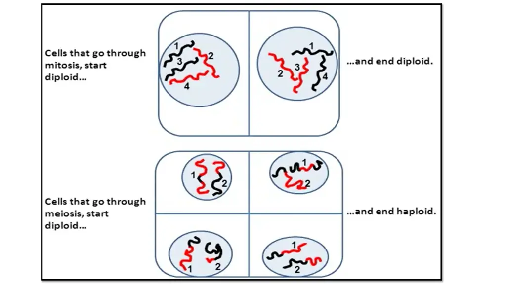 slide9