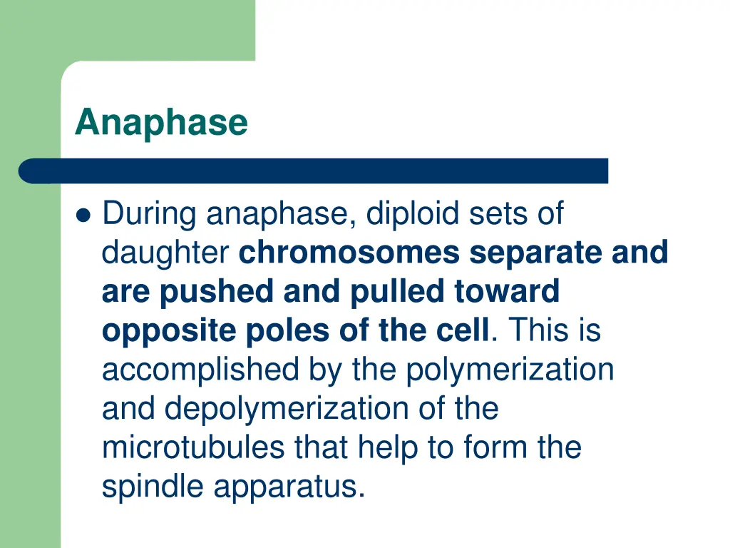 anaphase