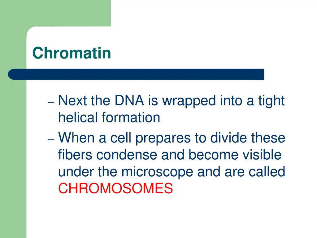 chromatin 1