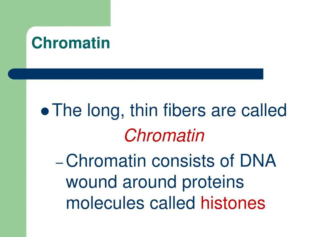 chromatin