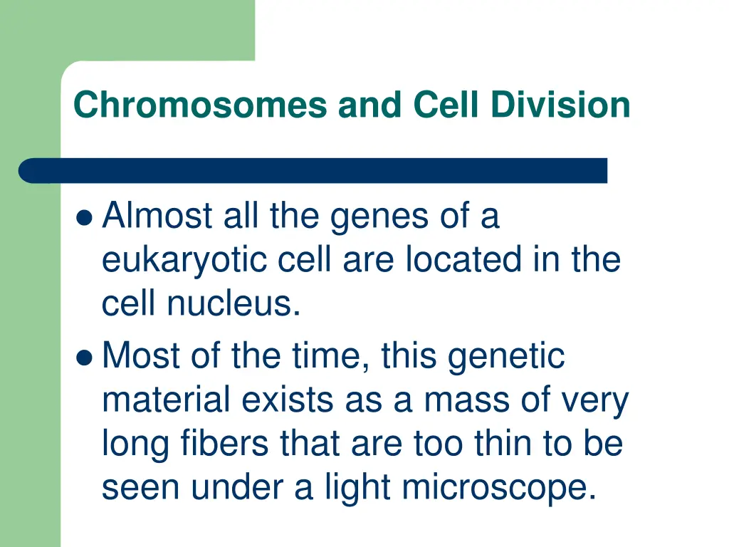 chromosomes and cell division