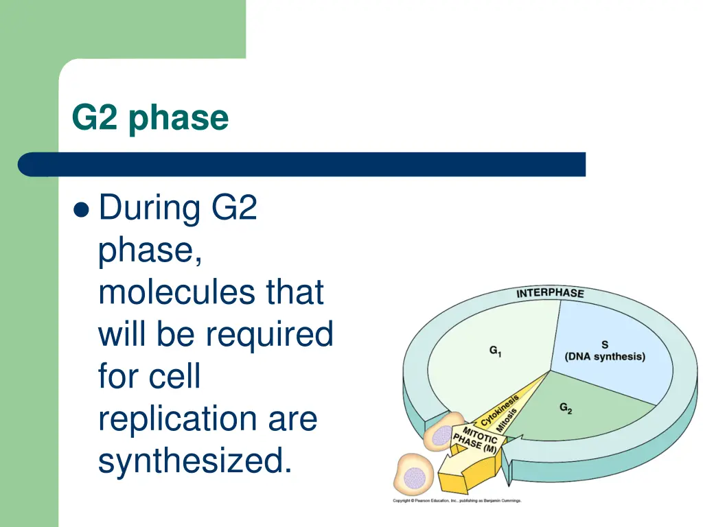 g2 phase