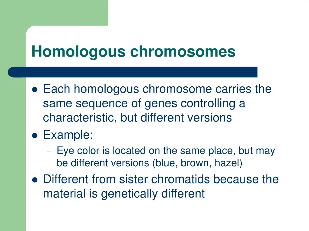 homologous chromosomes
