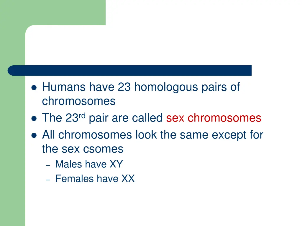 humans have 23 homologous pairs of chromosomes
