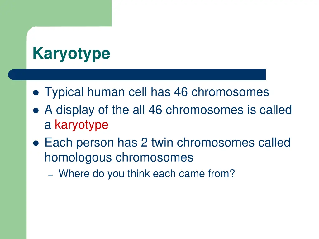 karyotype