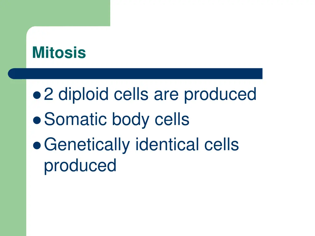 mitosis