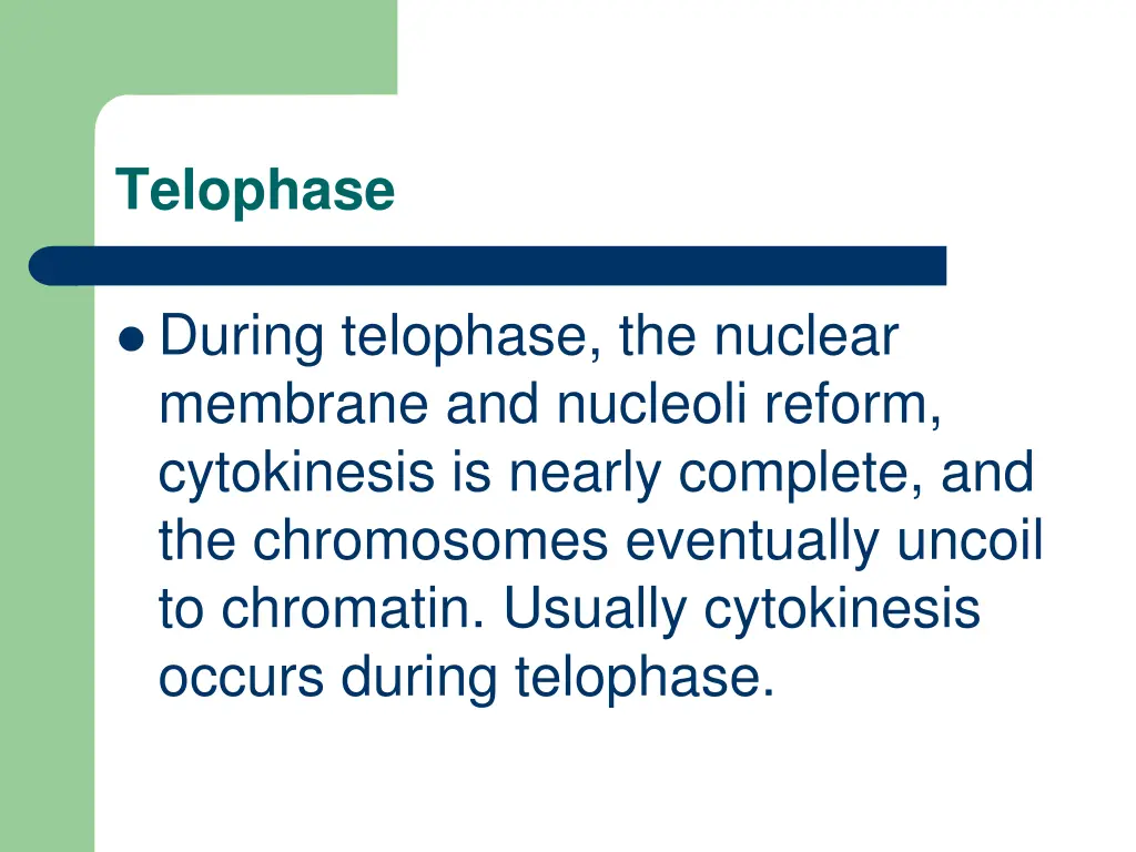 telophase
