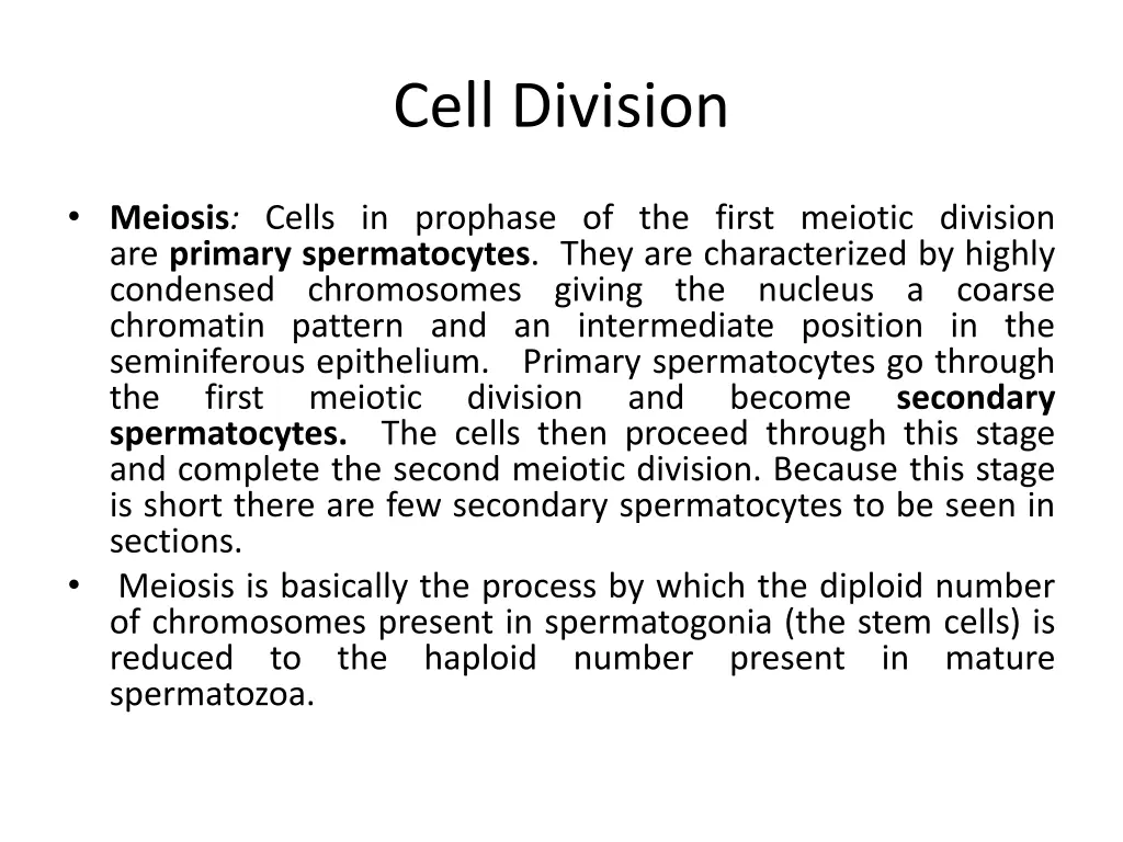 cell division