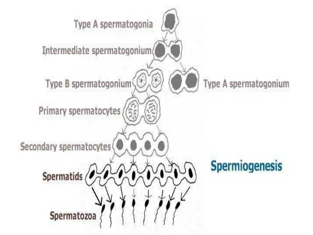 slide9