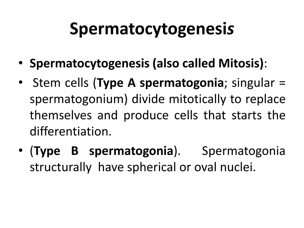 spermatocytogenesi s