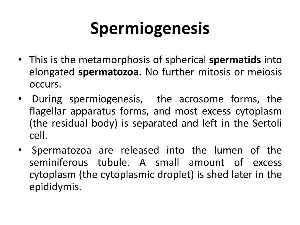 spermiogenesis