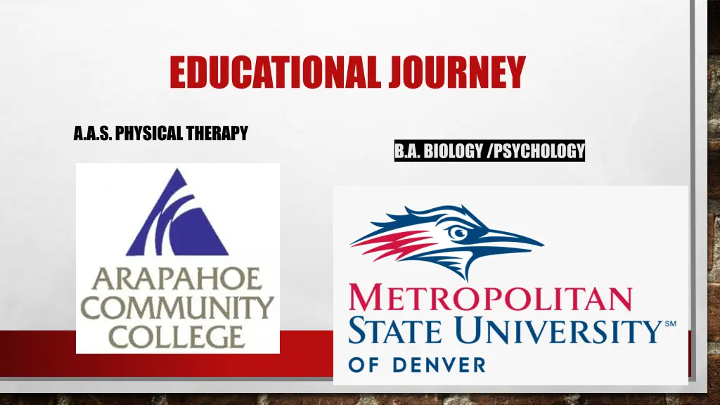 educational journey