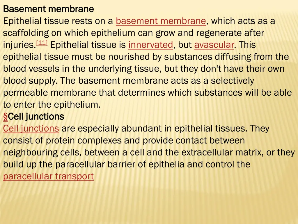 basement membrane basement membrane epithelial