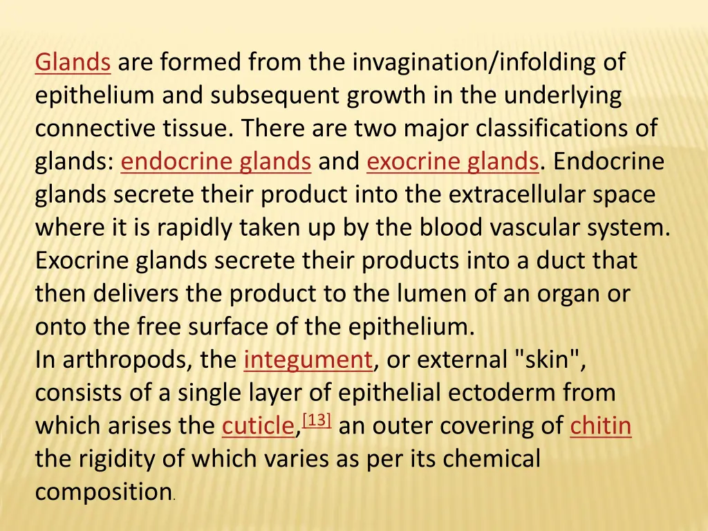 glands are formed from the invagination infolding