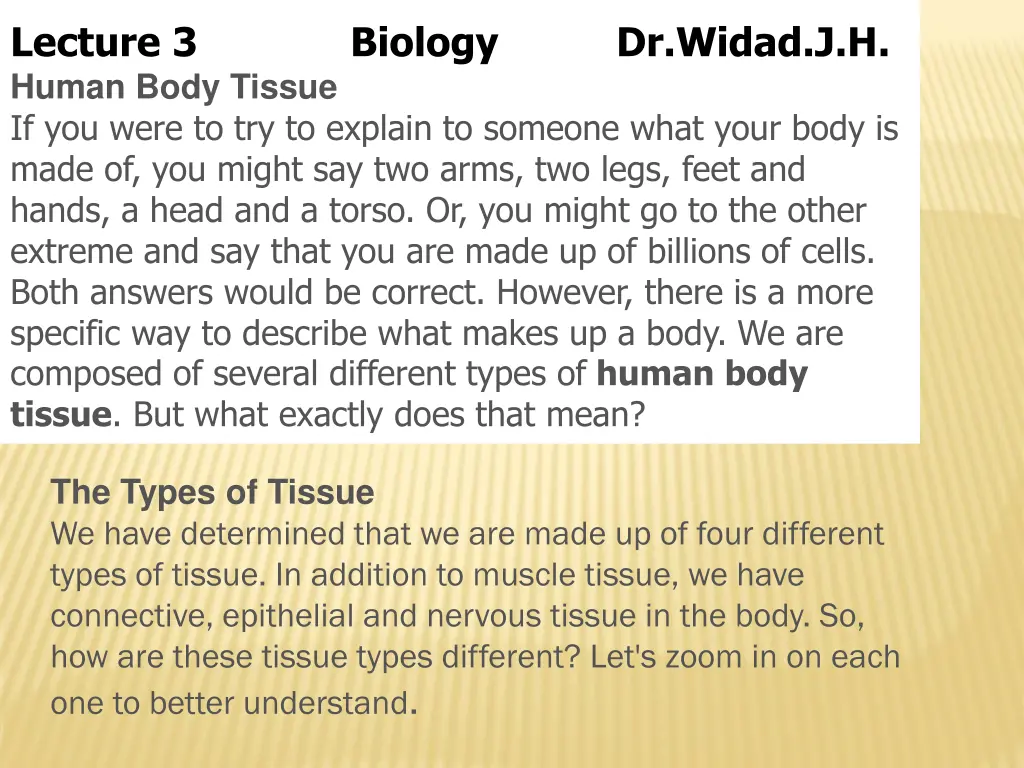 lecture 3 biology dr widad j h human body tissue