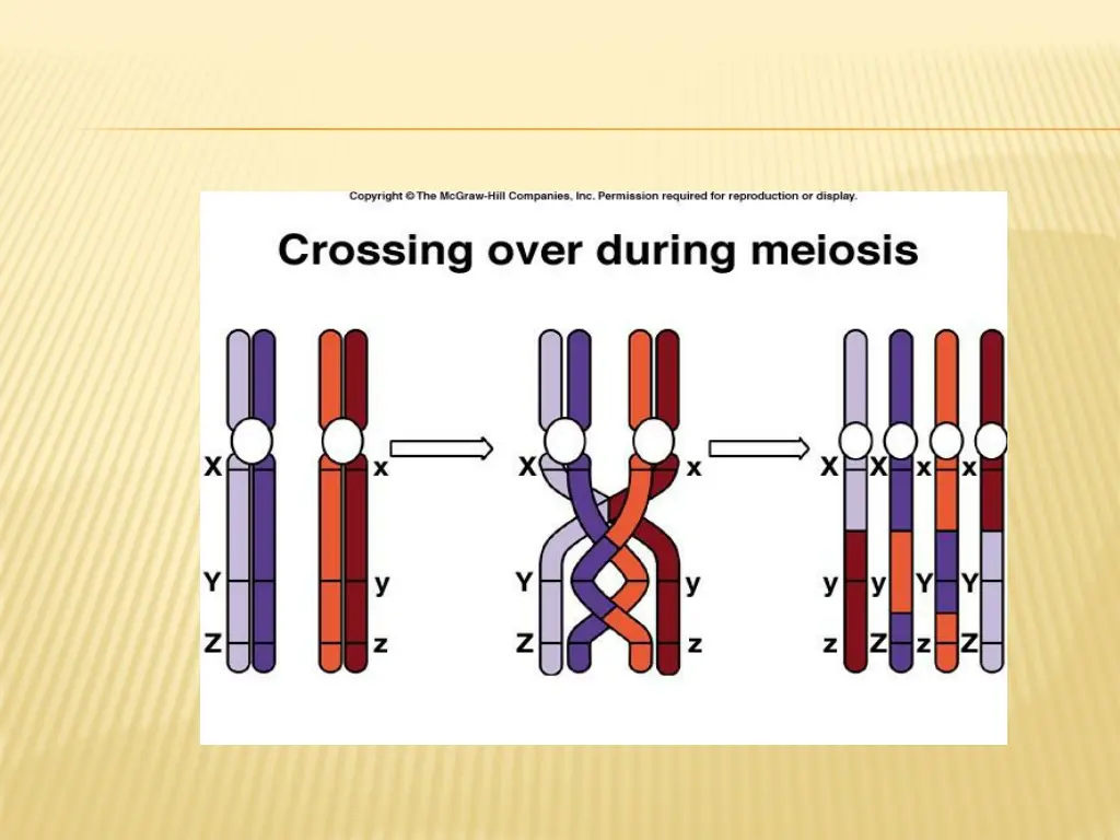 slide15