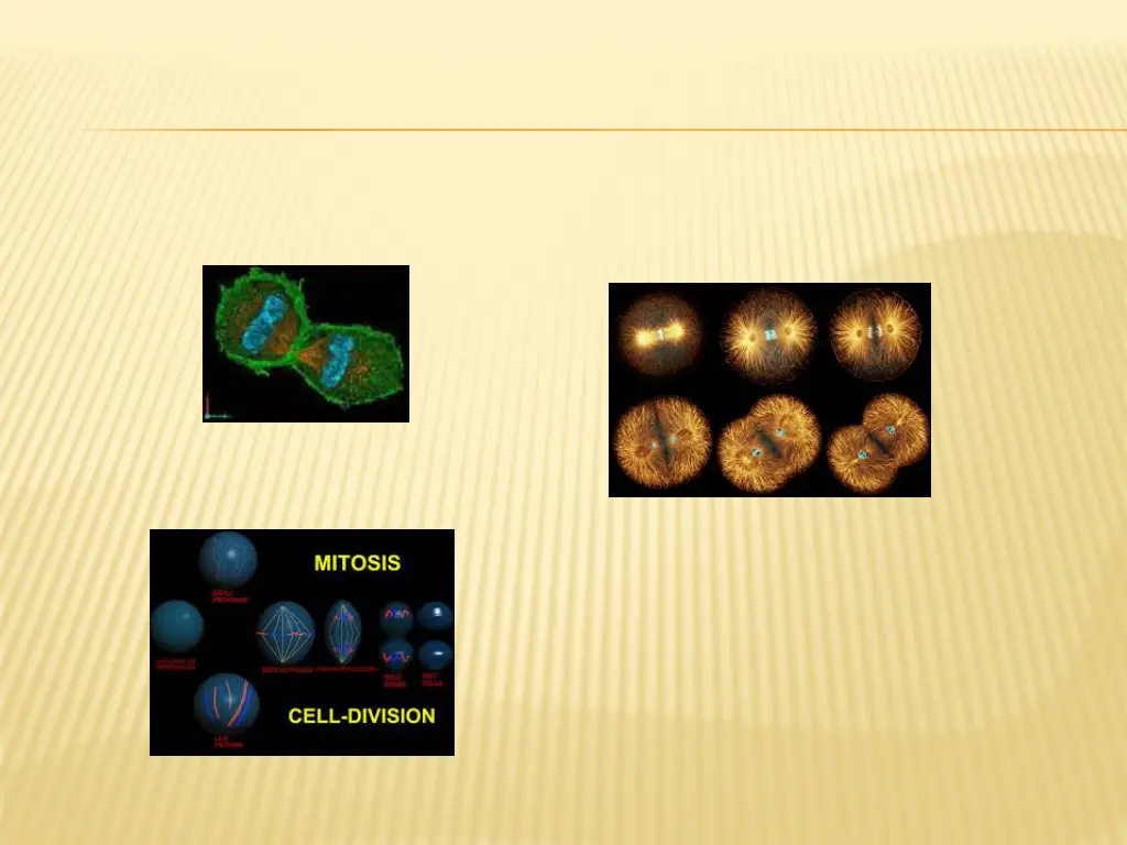 slide23