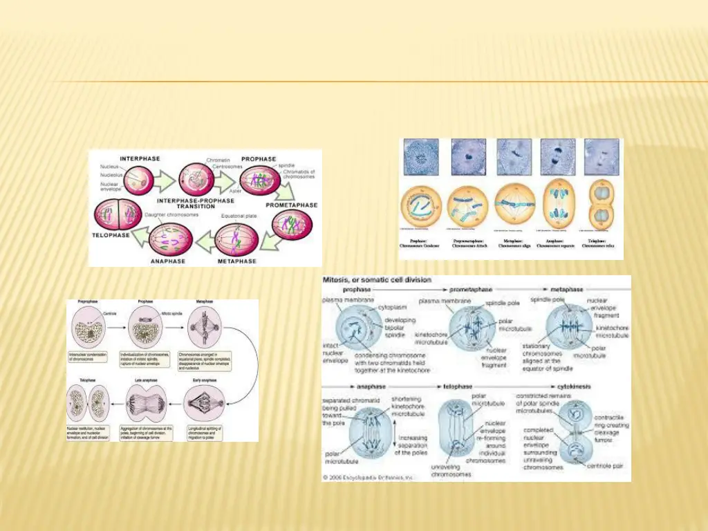 slide25