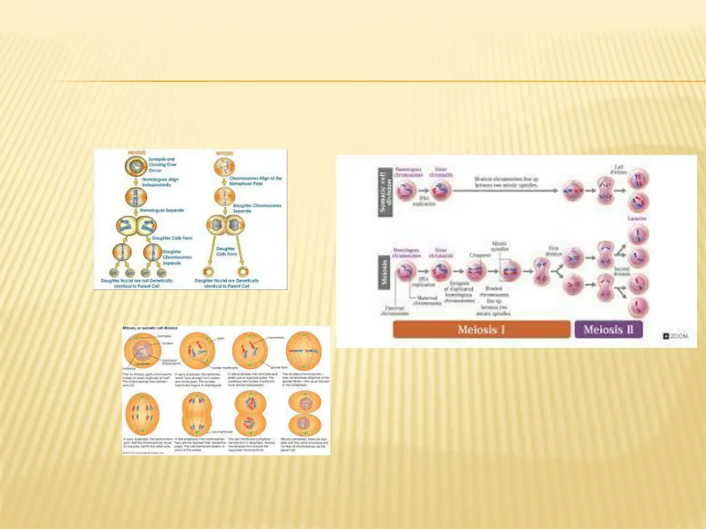 slide26