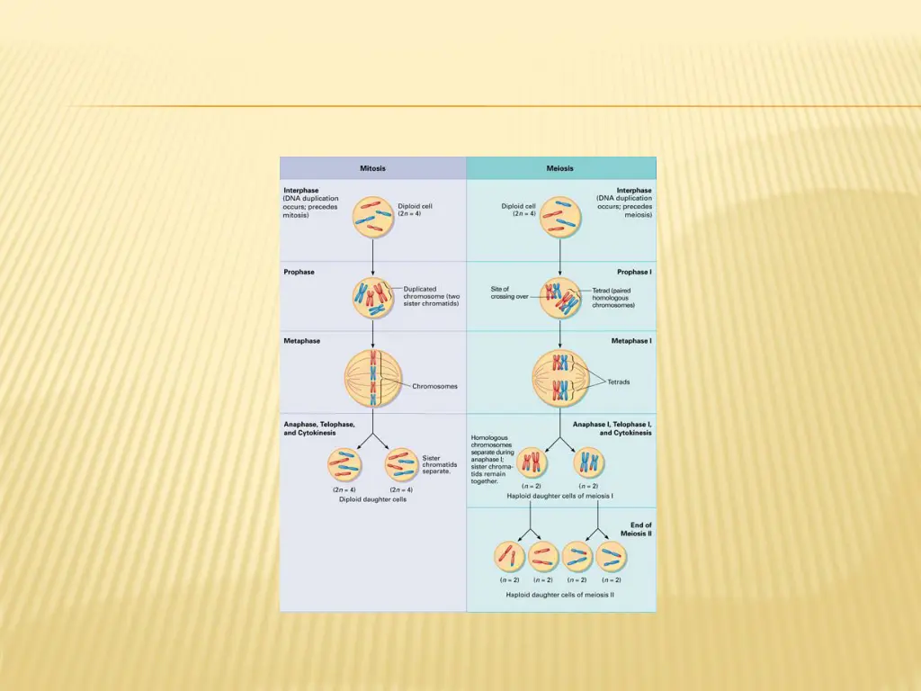 slide27
