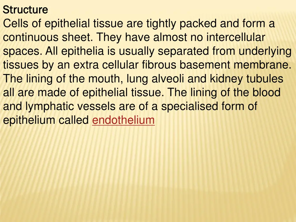 structure structure cells of epithelial tissue