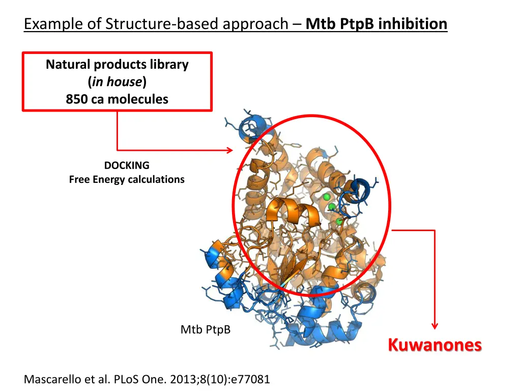 example of structure based approach mtb ptpb