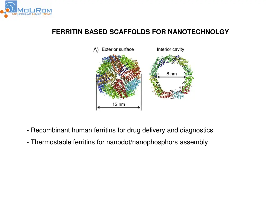 ferritin based scaffolds for nanotechnolgy