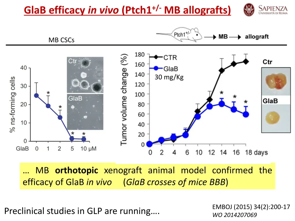 glab efficacy in vivo ptch1 mb allografts