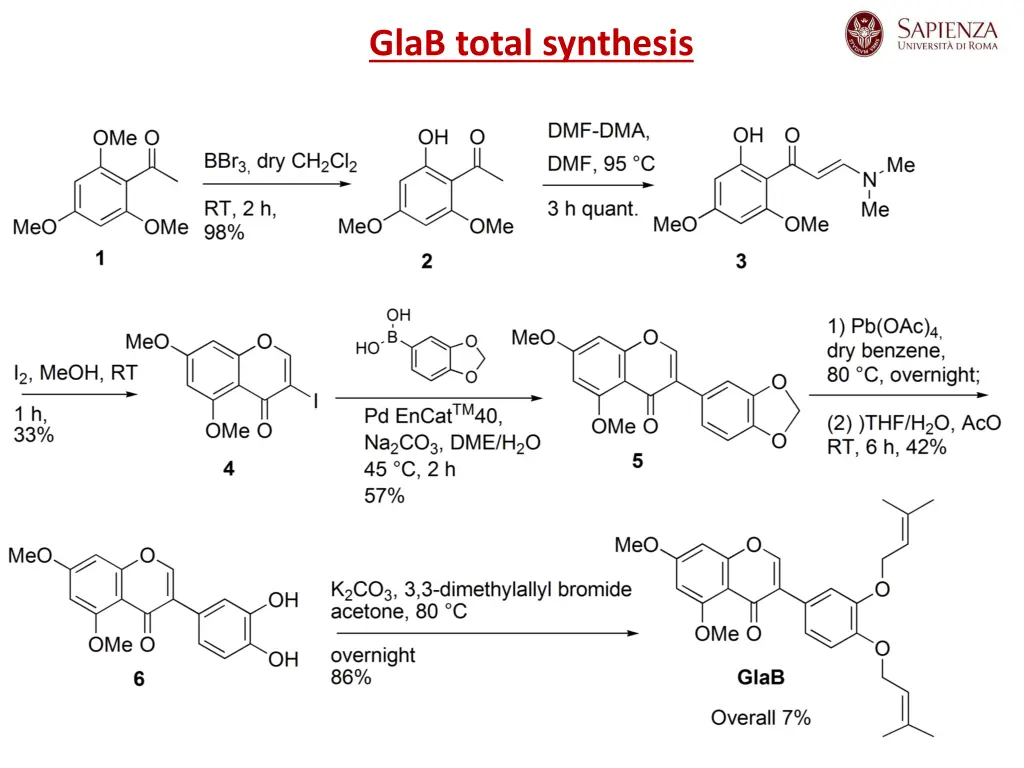 glab total synthesis